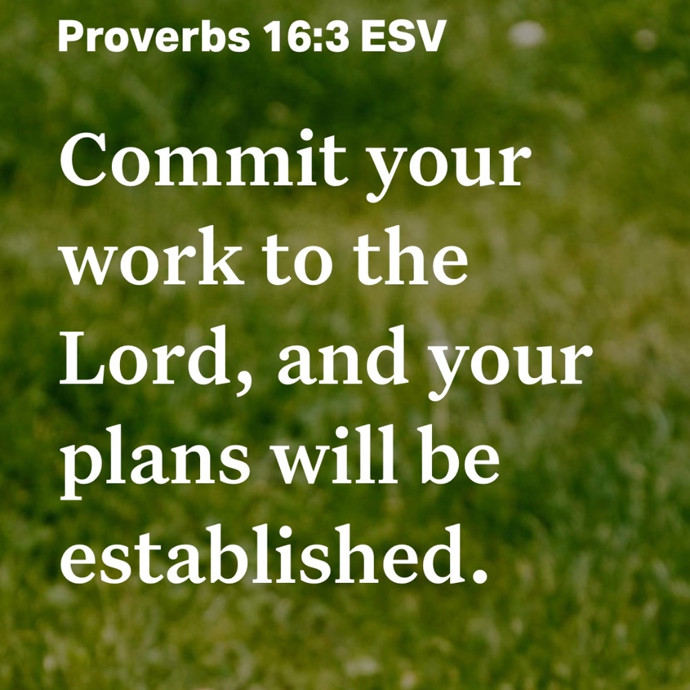 Meet your Posher, Liliana